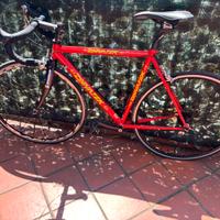 Bici da corsa Dynatek