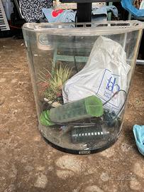 acquario completo della tetra