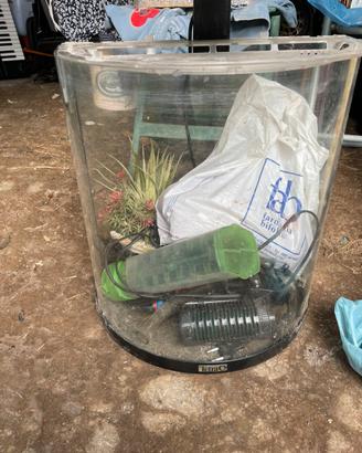acquario completo della tetra
