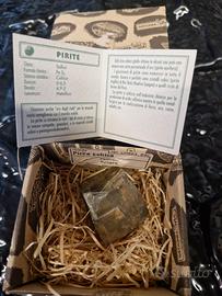 Pirite minerale da collezione 