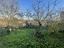 Immagine 16