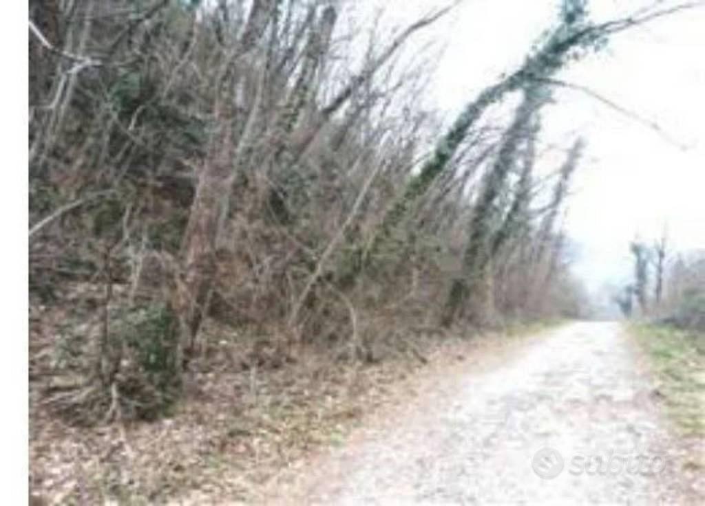 Immobile in asta di 133870 m² a Nimis - Vista 4
