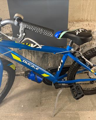 Bicicletta Ducale