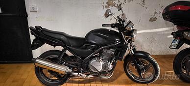 Kawasaki ER-5 2001