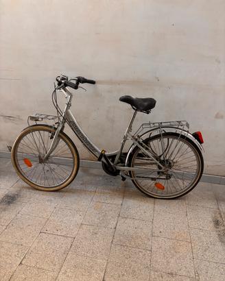 Bicicletta
