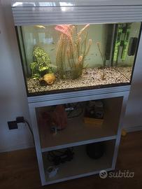 ACQUARIO ASKOL