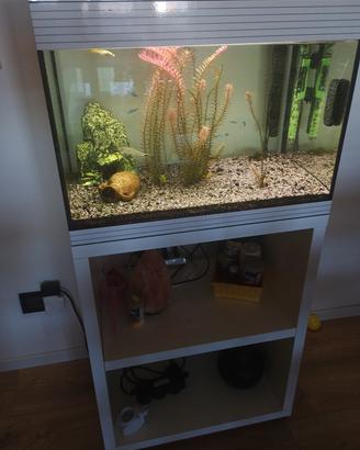 ACQUARIO ASKOL