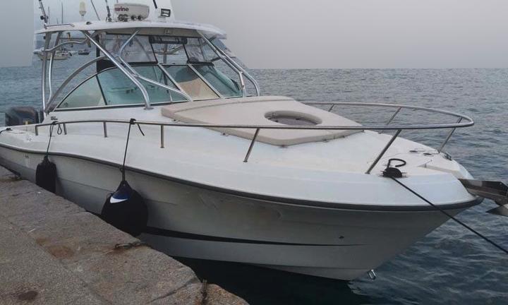 Hydra Sports 2900 VX + 2x250 hp Yamaha (TUTTO 2009