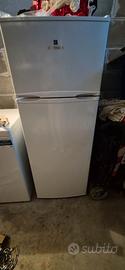 Frigo electroline