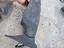 Immagine 3