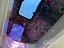 Immagine 27