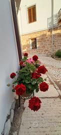 Casa inbcollina