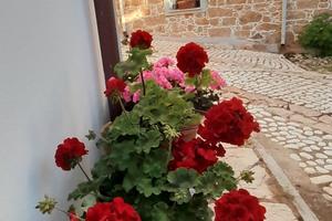 Casa inbcollina
