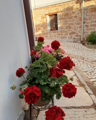 Casa inbcollina