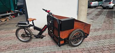 E bike cargo rinforzata