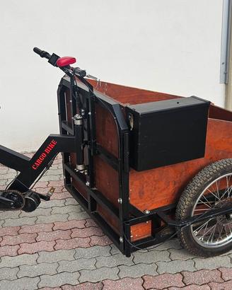 E bike cargo rinforzata