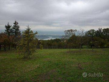 Terreno di 4970 m² a Capannori