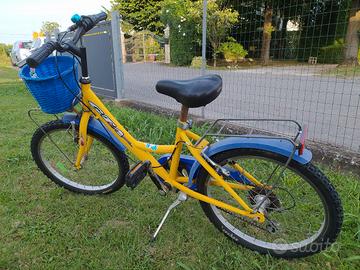 Bicicletta 20" da bambina