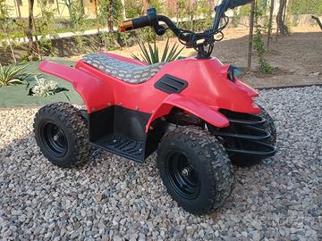 Quad urbanX 24v