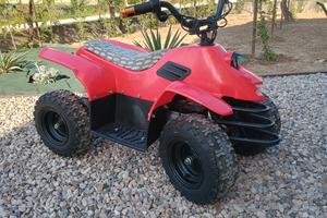 Quad urbanX 24v