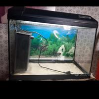 Acquario tenerif 55 super crystal by Askoll