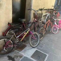 biciclette(bimba/ragazzi/adulti) da €10 a €50 cad.