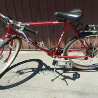 Mountain Bike Vintage ben tenuta