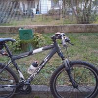 Mountain bike Frera acciaio