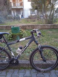Mountain bike Frera acciaio