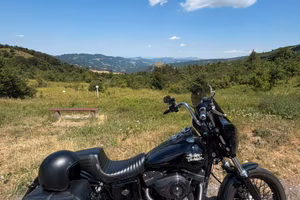 Harley Davidson Dyna Street Bob