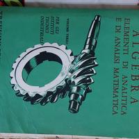 Algebra elementi di analitica e di analisi matemat
