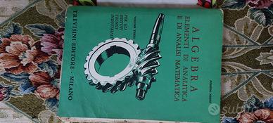 Algebra elementi di analitica e di analisi matemat