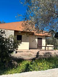 Oasi di pace in campagna - C/2 con terreno privato