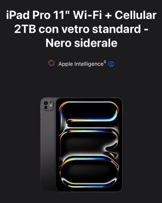 IPad pro m5 16 Gb di RAM 2 Tb- 11 pollici