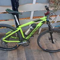 bici mtb elettrica ebike