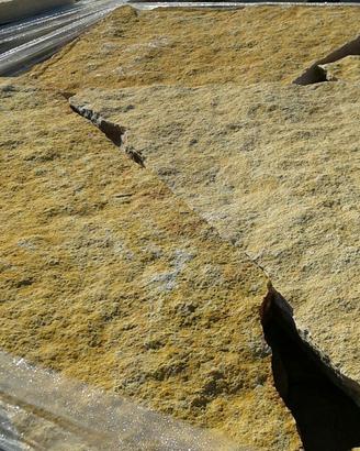 Pietra di Trani da Pavimento Giallo Tipico