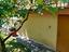 Immagine 19