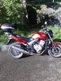 Honda CBF 600 anno 2008