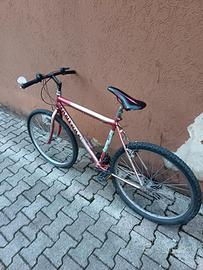Bici adulto