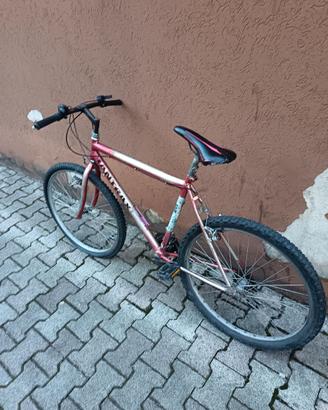 Bici adulto