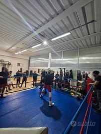 Ring da boxe usato