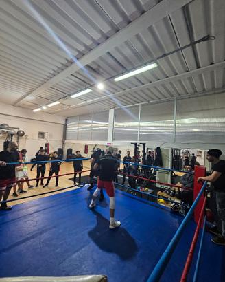 Ring da boxe usato