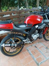 aprilia 50 tuono