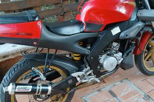 aprilia 50 tuono