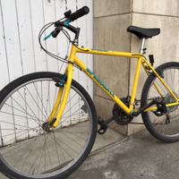 Bicicletta MTB