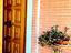 Immagine 8