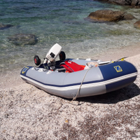 Gommone Zodiac motore Johnson