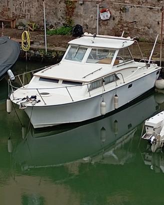 bertram 28 sedan brunswich