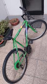 Mountain bike California , cambio shimano