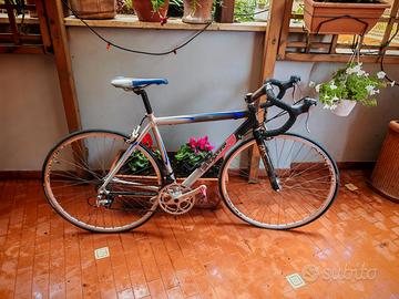 Bici da corsa Eleven (grigio/nero/blu)